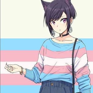 Meet your Posher, Ace